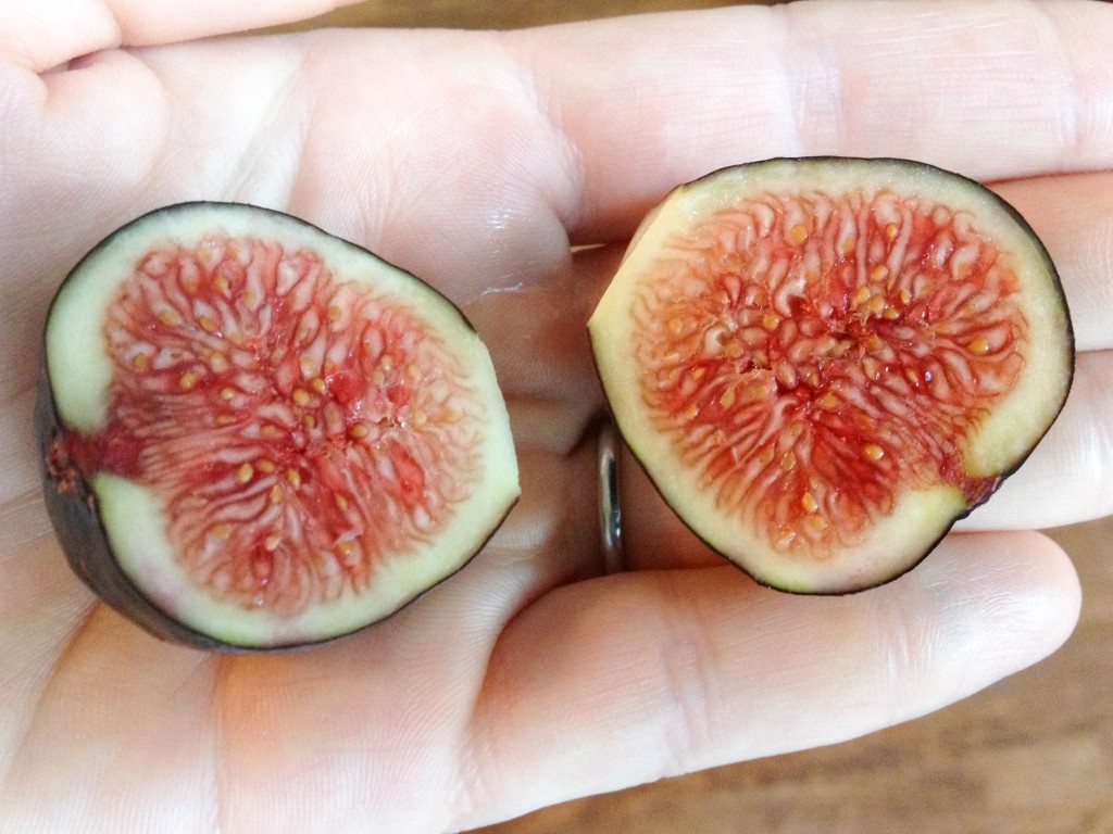 Fresh Figs