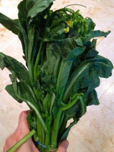 Chinese Broccoli resize